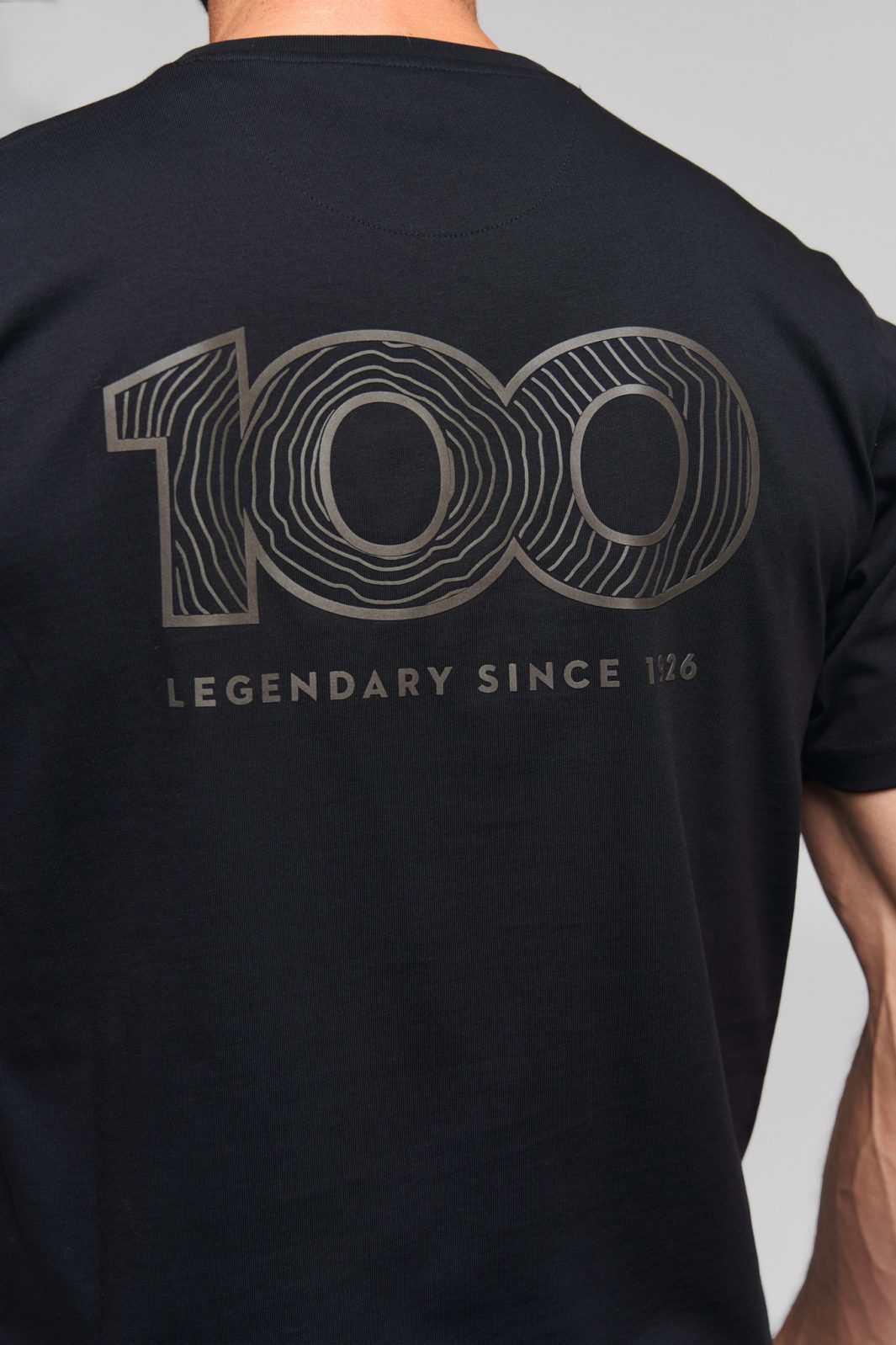 Stihl T-shirt REFLECTIVE 100 jaar STIHL, Unisex 7 Stihl T-shirt REFLECTIVE 100 jaar STIHL, Unisex - Afbeelding 7
